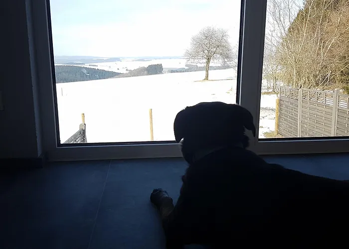 מלון Eifel Dream Ardennenblick